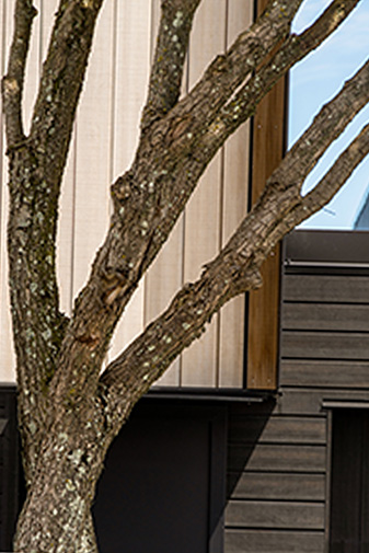 Petone townhouses