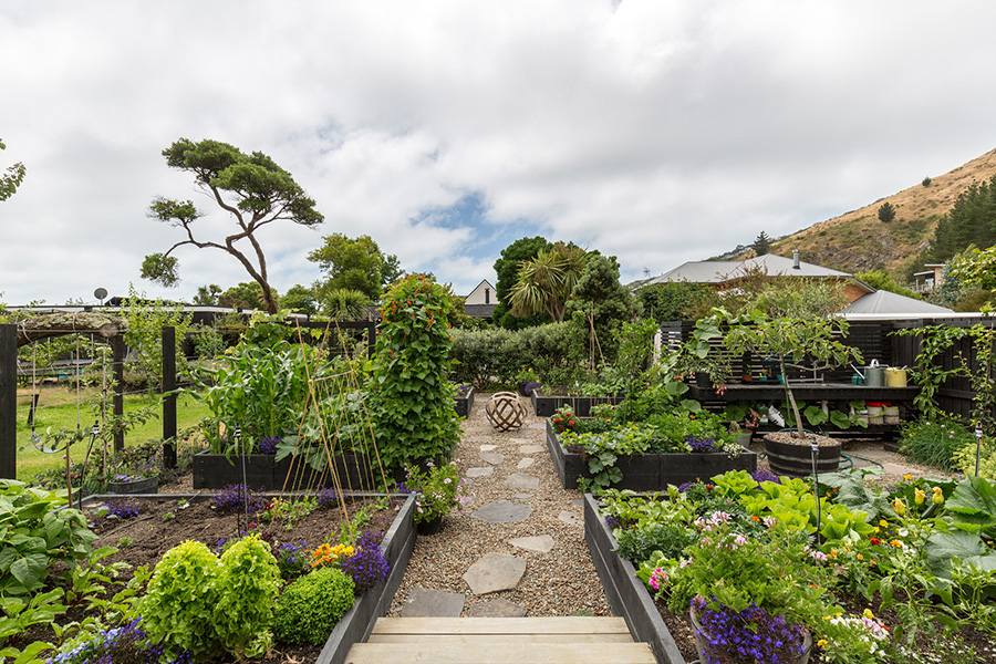 Paul Pascoe Sumner house garden with Herriot Melhuish O'Neill Architects