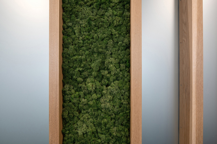 FNZ moss wall