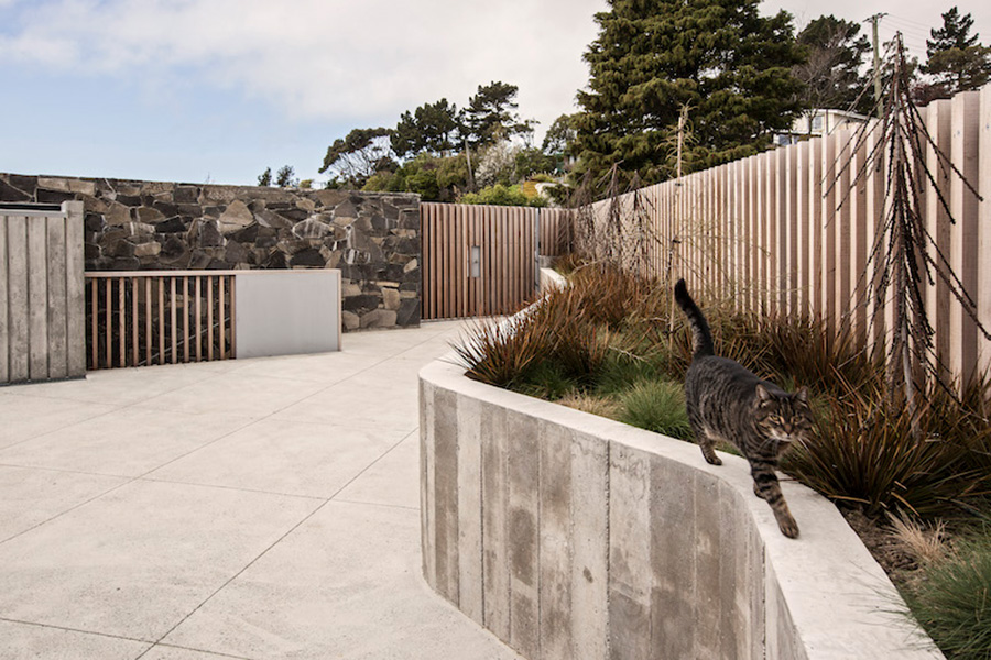 Clifton Hill house HMOA garden by Megan Wraight