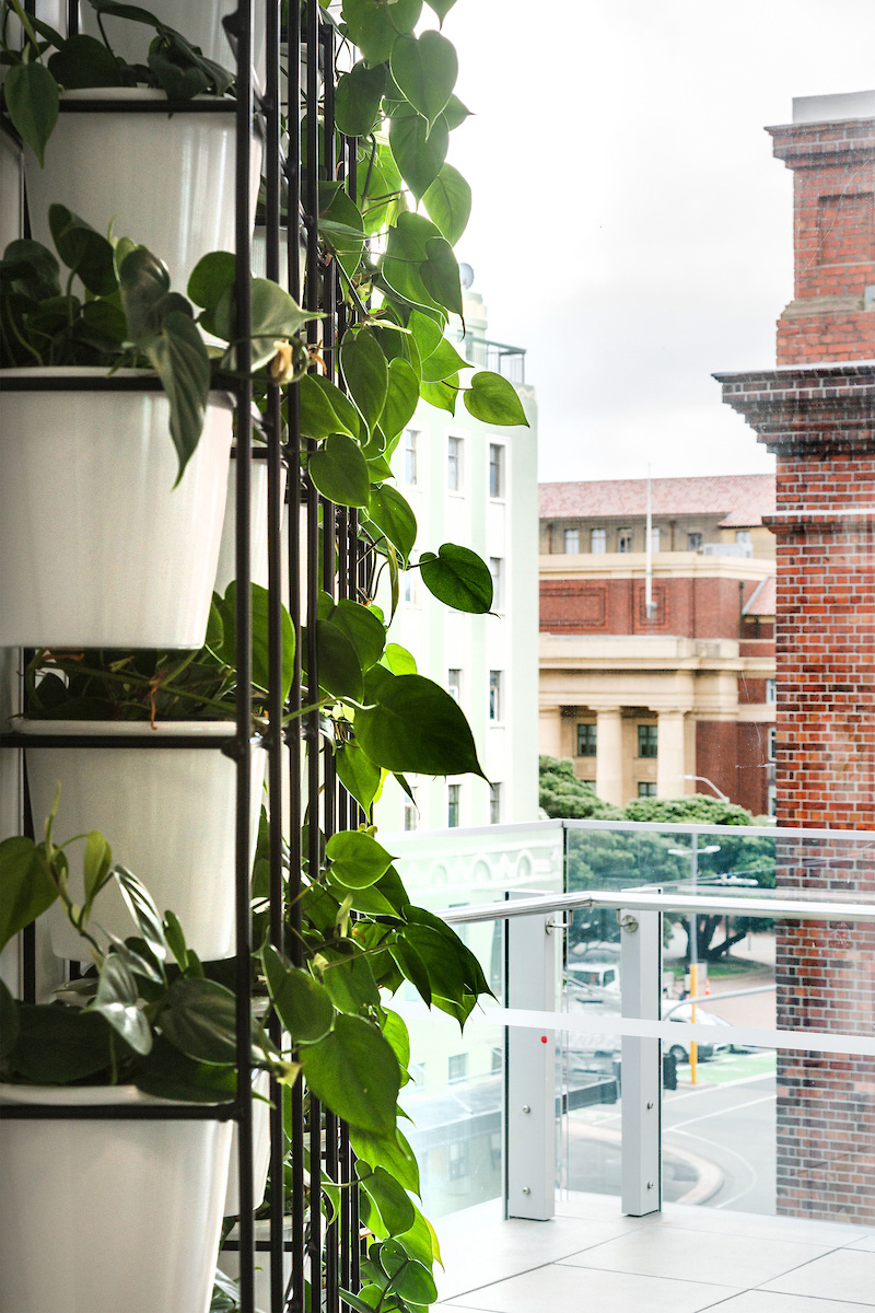 Medical Assurance Society Herriot Melhuish O Neill Architects Medical Assurance Society Herriot Melhuish O Neill Architects