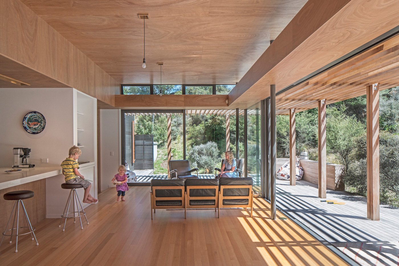 Peka Peka House II - Living Room. Wellington architect