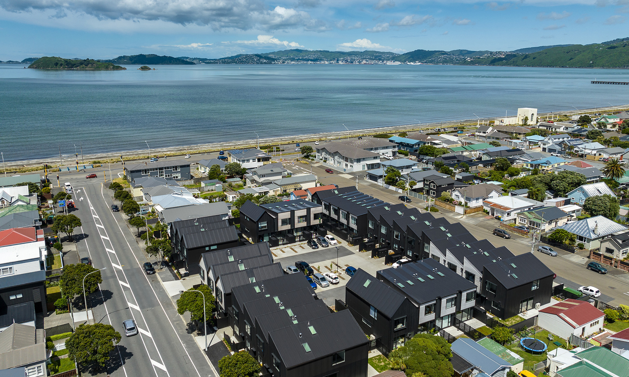 Petone from above