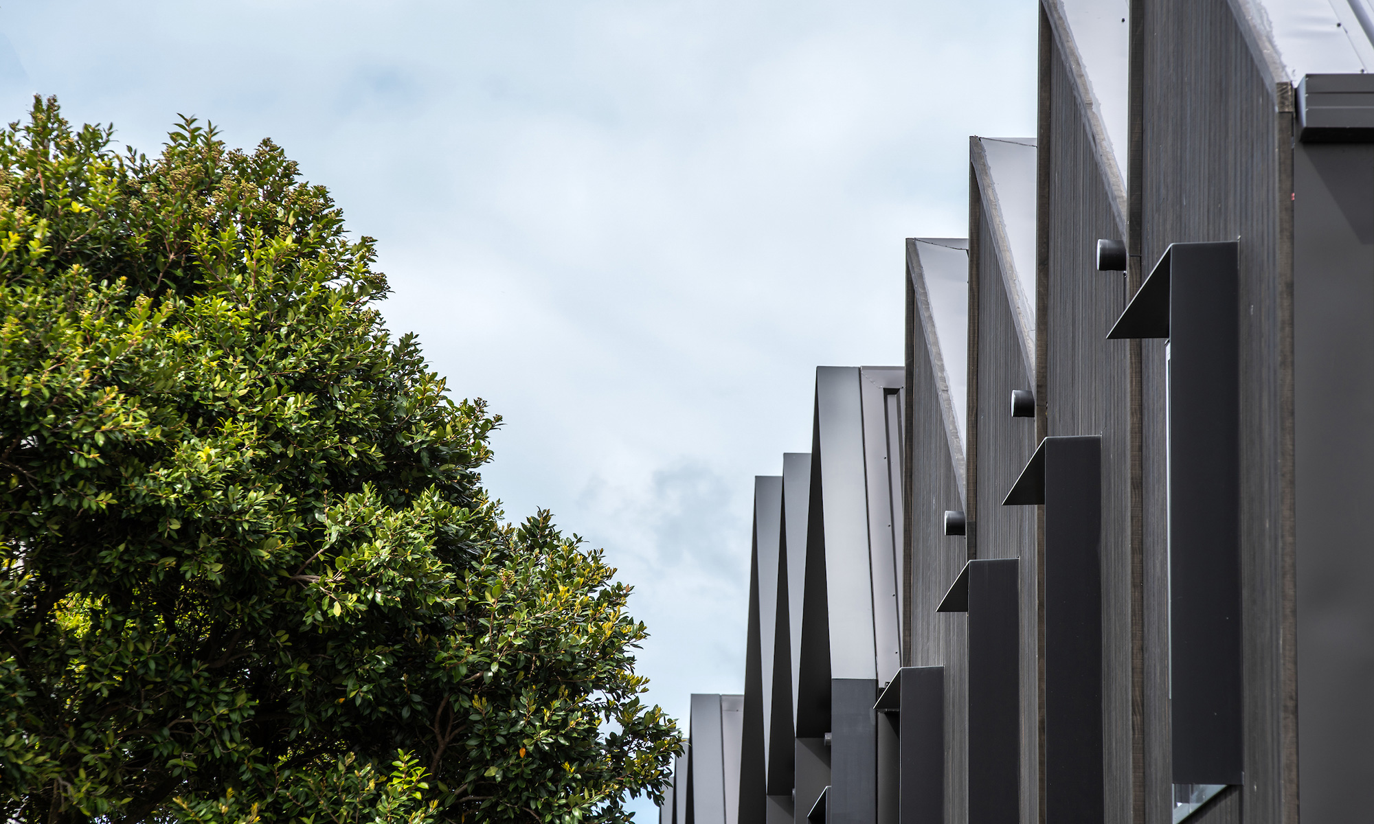 Petone townhouses roofline